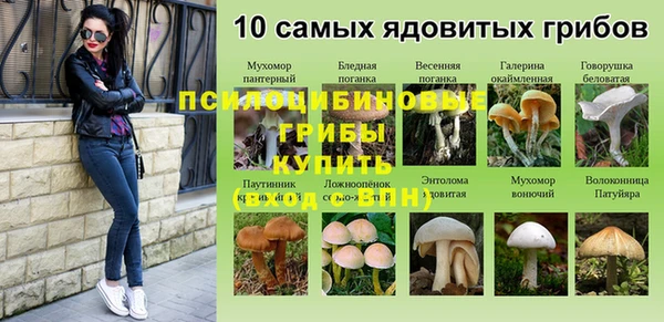 каннабис Алексеевка